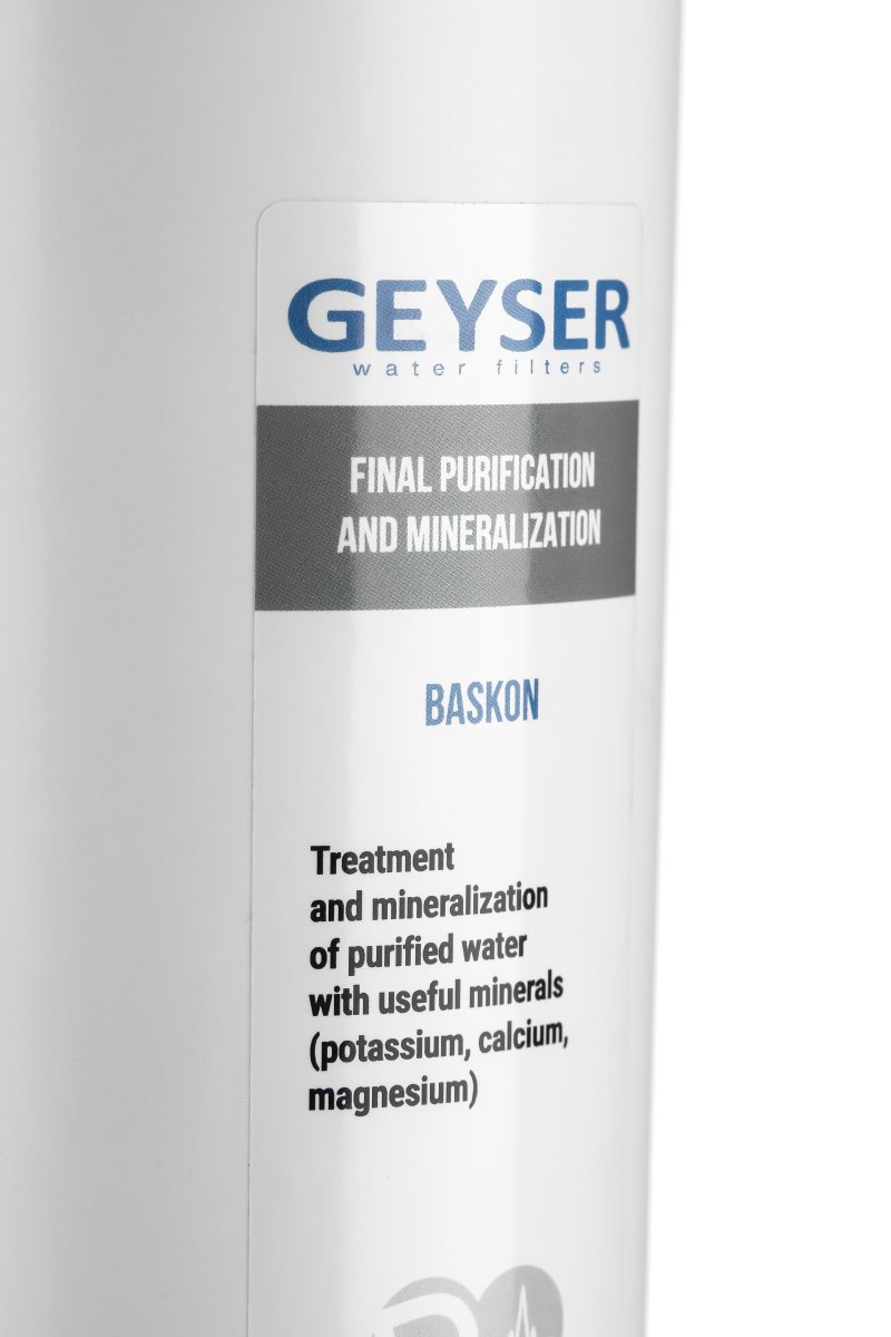 Сменный фильтрующий элемент Гейзер Баскон Смарт (30643)